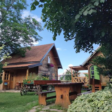 Apartments Vila Selena - Golija Rudno Zewnętrze zdjęcie