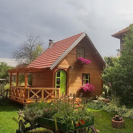 Apartments Vila Selena - Golija Rudno Zewnętrze zdjęcie