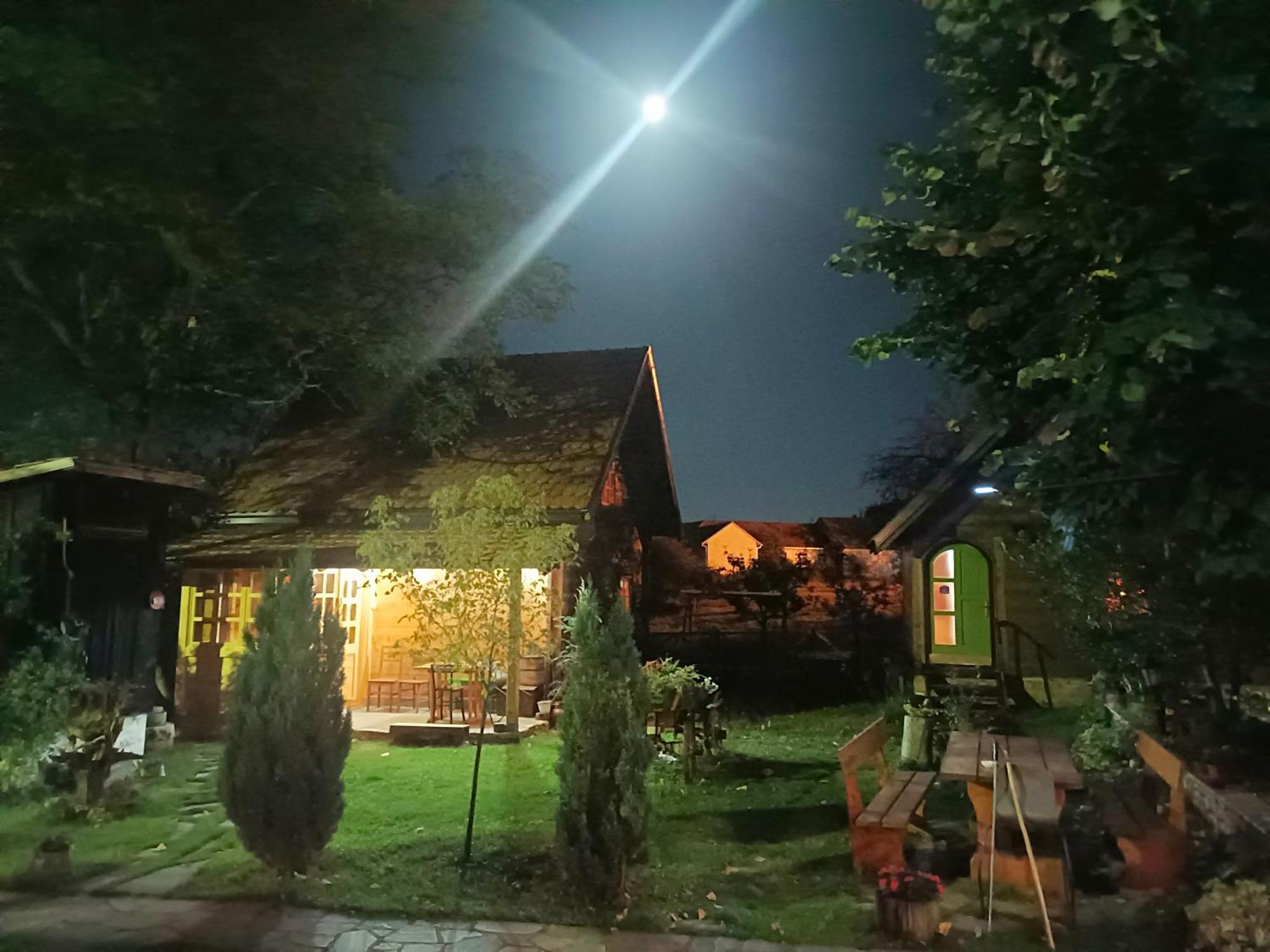 Apartments Vila Selena - Golija Rudno Zewnętrze zdjęcie