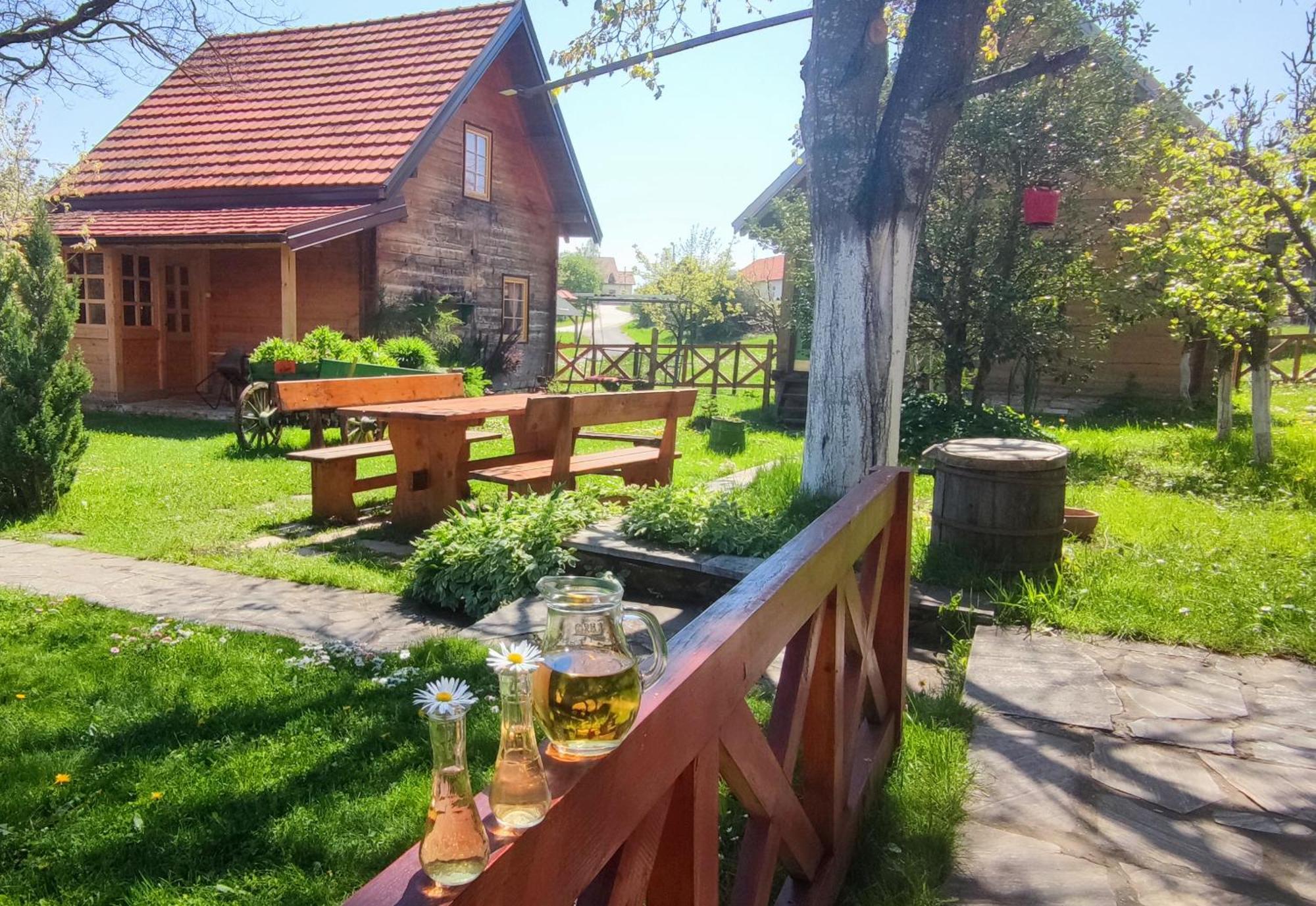 Apartments Vila Selena - Golija Rudno Zewnętrze zdjęcie