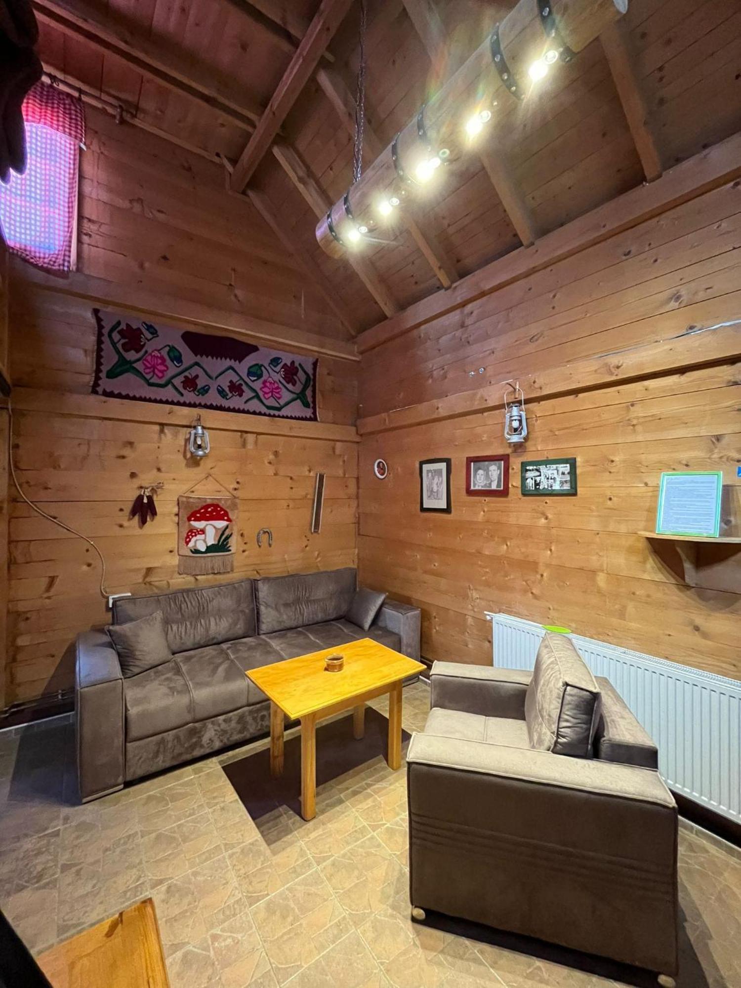 Apartments Vila Selena - Golija Rudno Zewnętrze zdjęcie