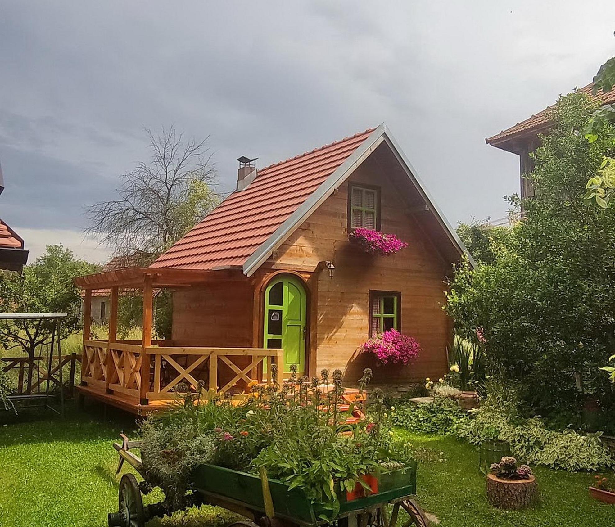 Apartments Vila Selena - Golija Rudno Zewnętrze zdjęcie
