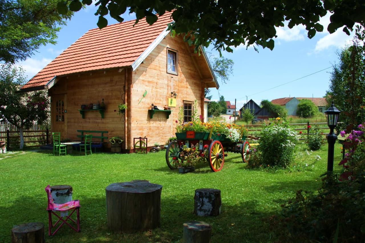 Apartments Vila Selena - Golija Rudno Zewnętrze zdjęcie