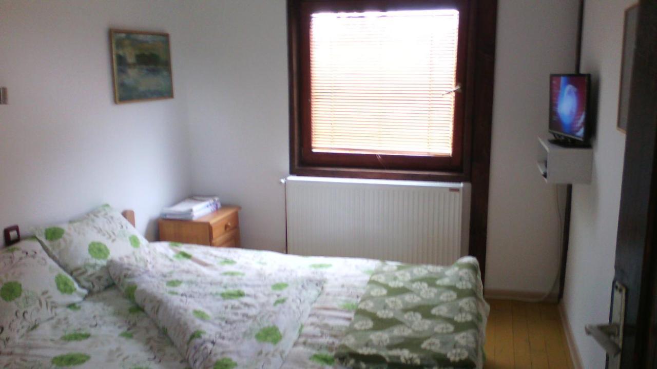 Apartments Vila Selena - Golija Rudno Zewnętrze zdjęcie