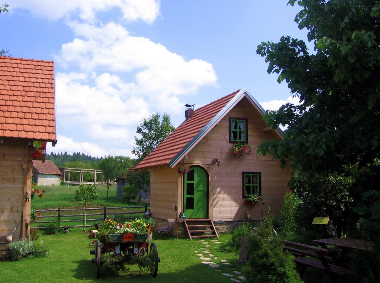 Apartments Vila Selena - Golija Rudno Zewnętrze zdjęcie
