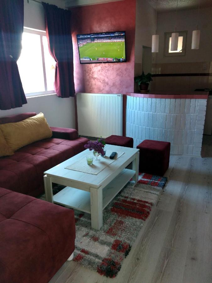 Apartments Vila Selena - Golija Rudno Zewnętrze zdjęcie